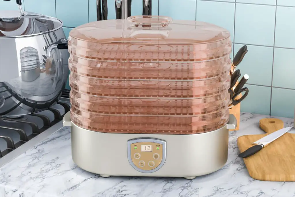 best dehydrator for jerky