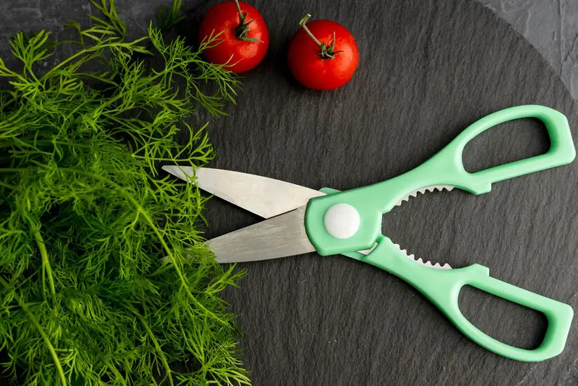 best kitchen shears for cutting meat