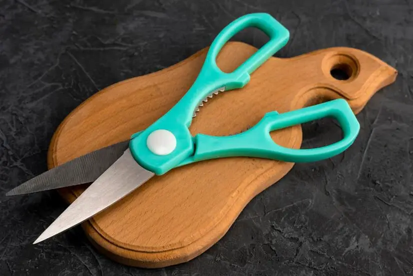 best kitchen shears for cutting meat