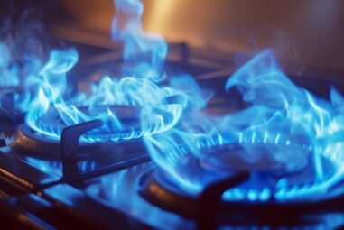 The Prime Guide to Propane Burners: Everything You Must Know