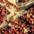 Does Coffee Expire? Know The Unknown